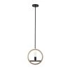 Coupon 🛒 Paradoxial 1-Light Black/Brown Pendant by Yosemite Home Decor 🎁 1 Coupon 🛒 Paradoxial 1-Light Black/Brown Pendant by Yosemite Home Decor 🎁 -NICOR Sales Store black brown yosemite home decor chandeliers 140003125 64 1000