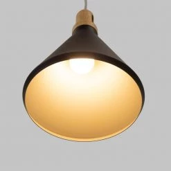 Budget 😀 Noir 1-Light Black Pendant by Yosemite Home Decor ⌛ -NICOR Sales Store black yosemite home decor chandeliers bs27117 1d 1000