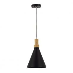 Budget 😀 Noir 1-Light Black Pendant by Yosemite Home Decor ⌛