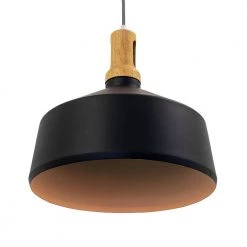 Discount 🌟 Noir 1-Light Black Pendant by Yosemite Home Decor 😍 -NICOR Sales Store black yosemite home decor chandeliers bs27317 1f 1000