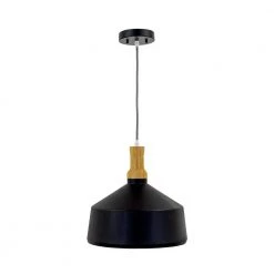 Discount 🌟 Noir 1-Light Black Pendant by Yosemite Home Decor 😍