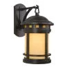 Coupon ⌛ Sahara Collection 1-Light Desert Night Outdoor Wall Lantern Sconce by Yosemite Home Decor 🎁 -NICOR Sales Store desert night yosemite home decor outdoor sconces fl1025dn9 64 1000