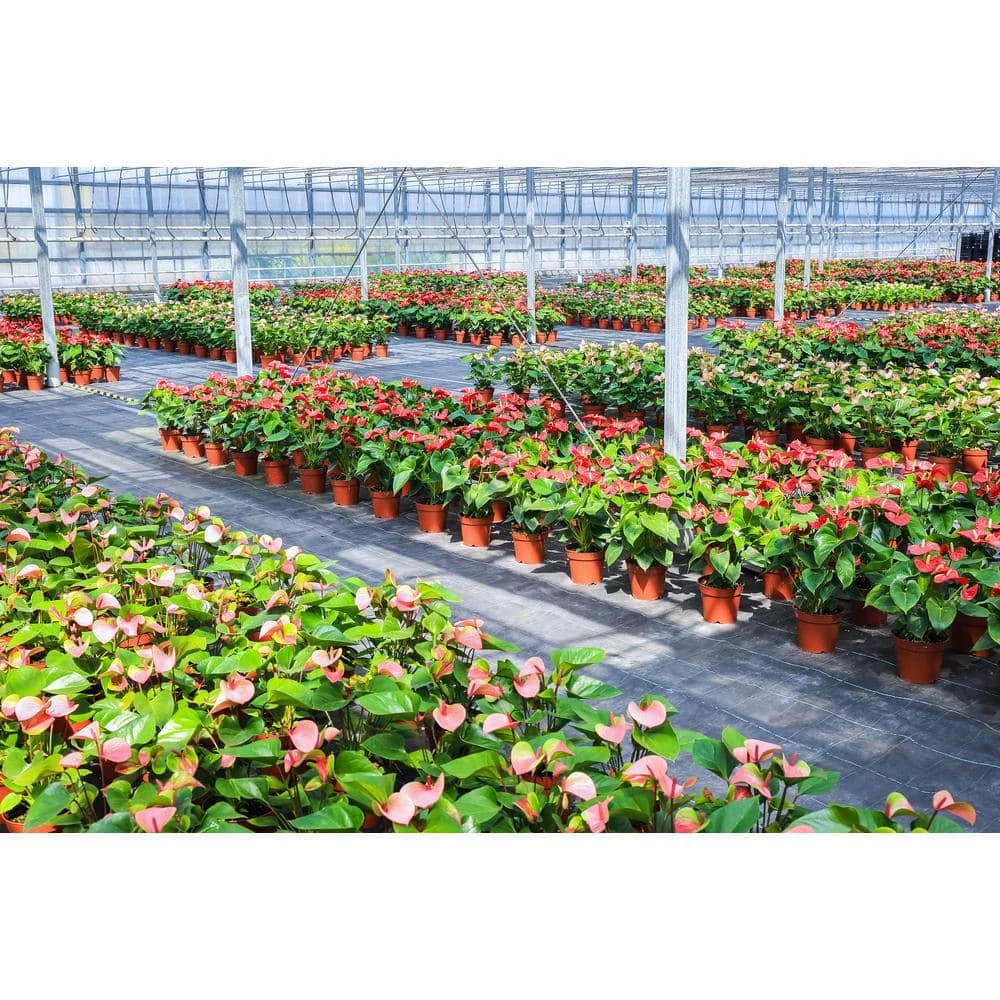 Outlet ๐ VT3(v2) 4 ft. 350-Watt Equivalent Integrated LED Light Grey Vaportite High Output Strip Light Fixture, 5000K by NICOR ๐งจ 10 Outlet ๐ VT3(v2) 4 ft. 350-Watt Equivalent Integrated LED Light Grey Vaportite High Output Strip Light Fixture, 5000K by NICOR ๐งจ - Image 8